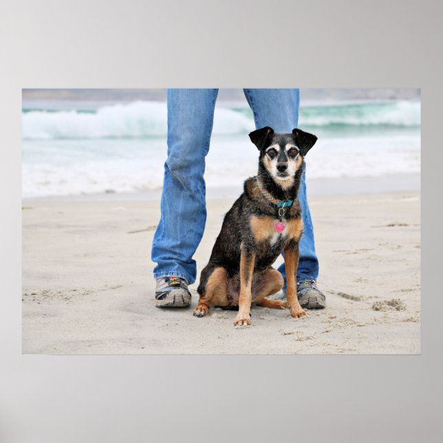 Manchester Terrier X - Jordan - Derr Poster (Front)