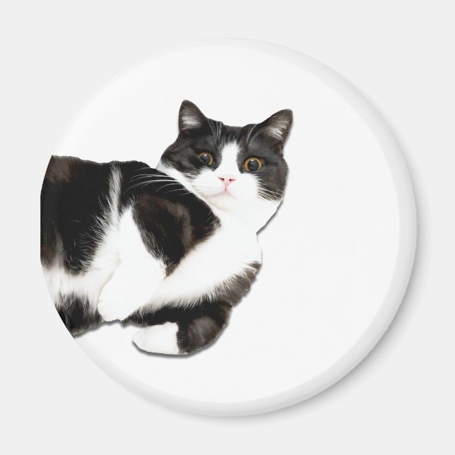 Manchester's "Hi!" Magnet (Front)