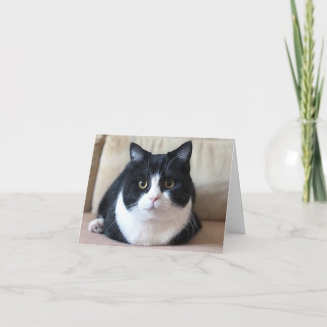 Manchester's photo card (Front)