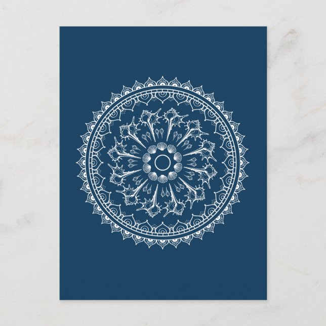 Mandala Made Of Seashells Postcard (Front)