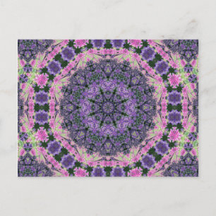 Mandala of pink and purple flowers postcard