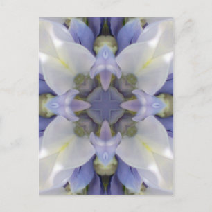 Mandala Series - Fuji 1 Postcard