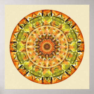 Mandalas of Deep Trust, No. 10 Poster