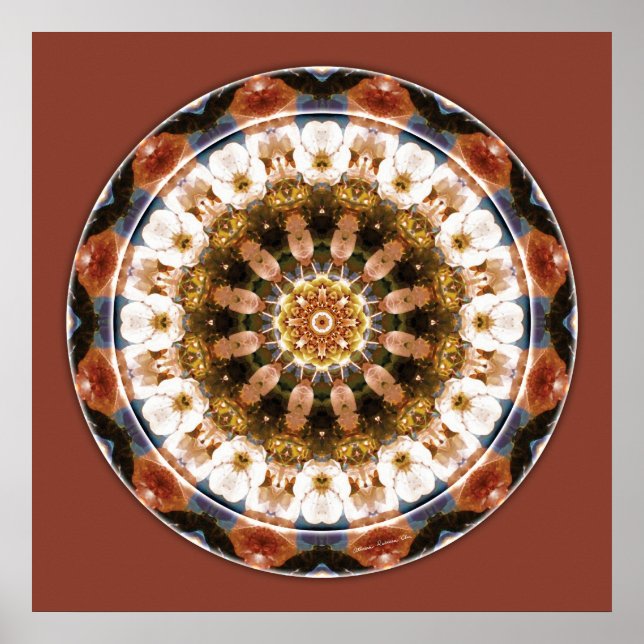 Mandalas of Deep Trust, No. 11 Poster (Front)