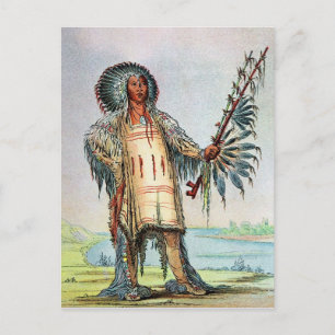Mandan Indian Ha-Na-Tah-Muah, Wolf chief Postcard