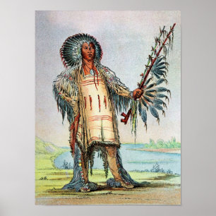 Mandan Indian Ha-Na-Tah-Muah, Wolf chief Poster