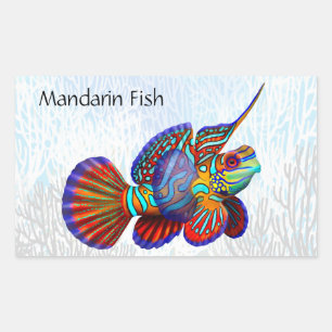 Mandarin Dragonet Goby Fish Customisable Sticker