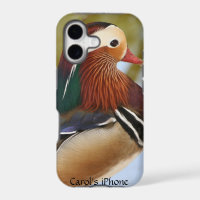 Mandarin Duck