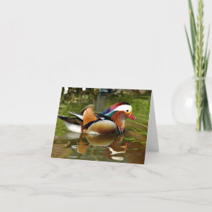 Mandarin Duck Card