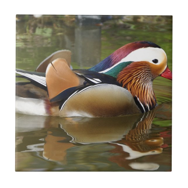 mandarin duck ceramic tile (Front)