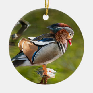 Mandarin Duck Ceramic Tree Decoration