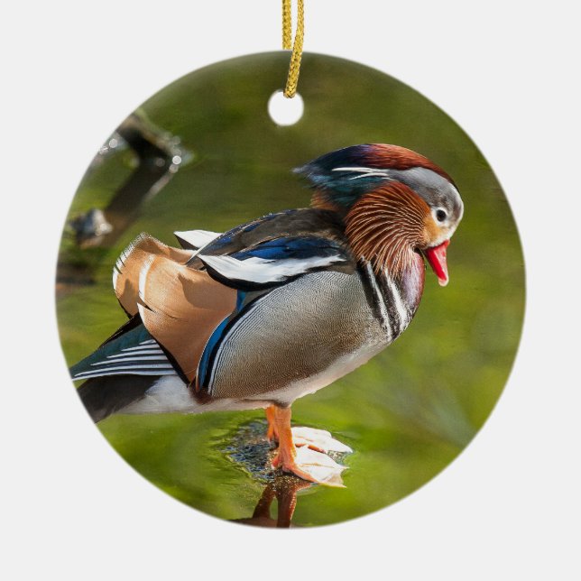 Mandarin Duck Ceramic Tree Decoration (Front)