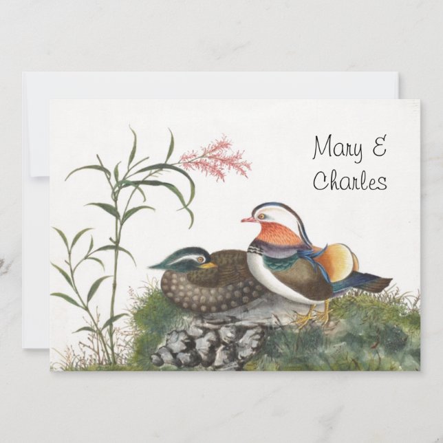 Mandarin Duck Chinese Painting (Front)