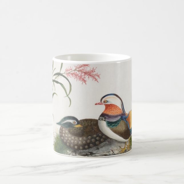 Mandarin Duck Chinese Painting Coffee Mug (Center)