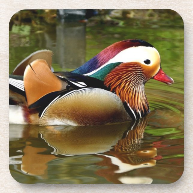 Mandarin Duck Coaster (Front)