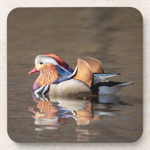 Mandarin Duck Coaster