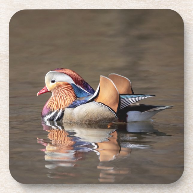 Mandarin Duck Coaster (Front)