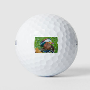 Mandarin Duck Golf Balls