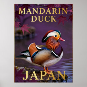 🦆 Mandarin Duck Japan Exotic Bird Poster