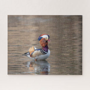 Mandarin Duck Jigsaw Puzzle