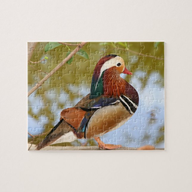 Mandarin duck jigsaw puzzle (Horizontal)