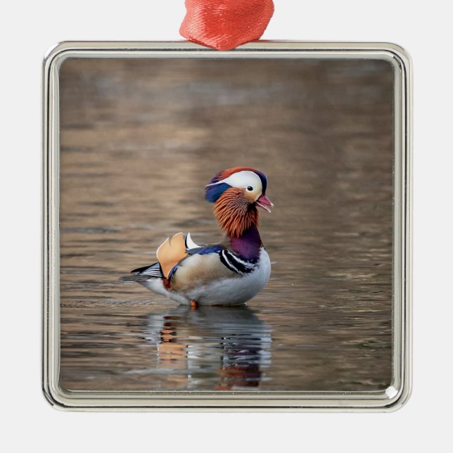 Mandarin Duck Metal Ornament (Front)