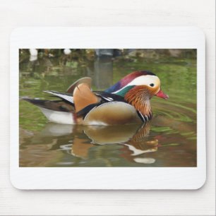 mandarin duck mouse pad