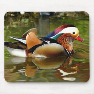 Mandarin Duck Mouse Pad