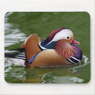 Mandarin Duck Mousemat
