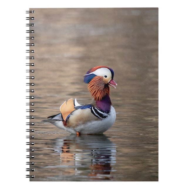 Mandarin Duck Notebook (Front)