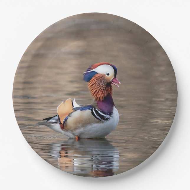 Mandarin Duck Paper Plate (Front)
