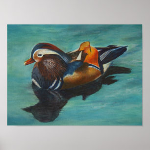 Mandarin Duck Poster