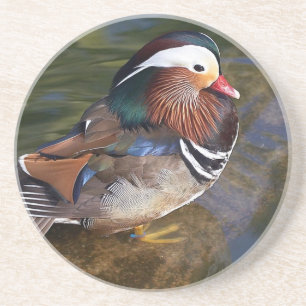 mandarin duck sandstone coaster
