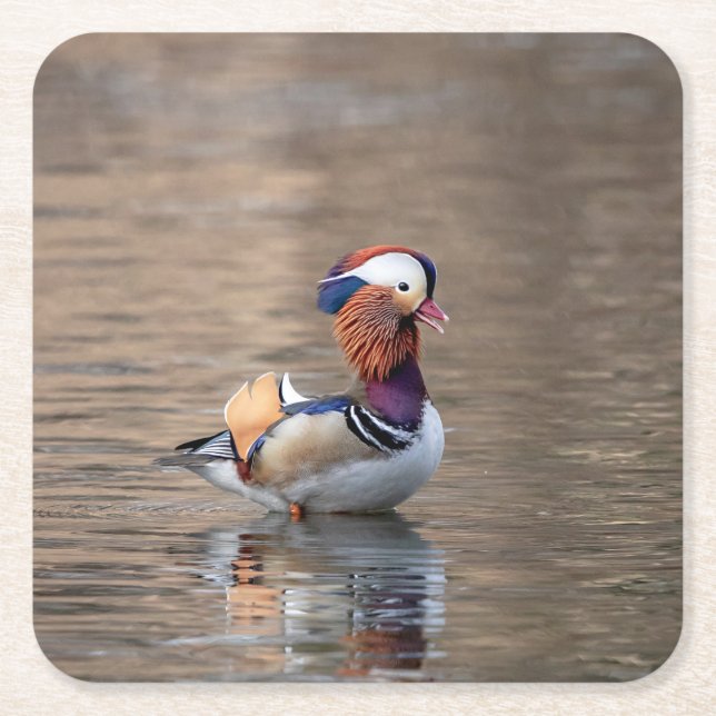 Mandarin Duck Square Paper Coaster (Front)