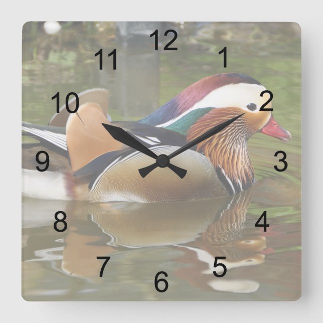 Mandarin Duck Square Wall Clock (Front)