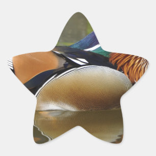 mandarin duck star sticker
