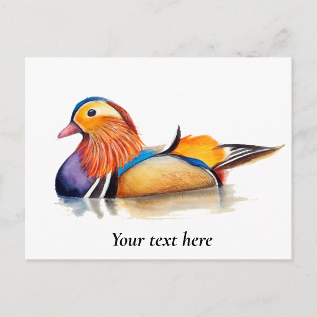 Mandarin Duck Watercolor Painting Postcard (Front)