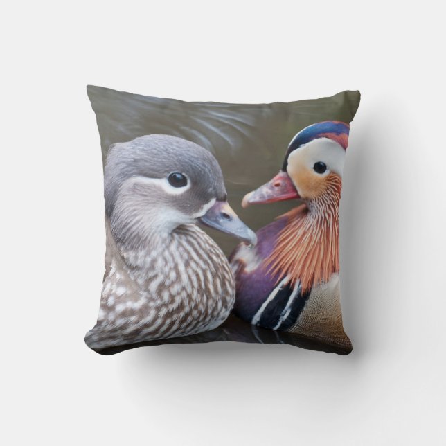 Mandarin Ducks on Throw Pillow (Front)