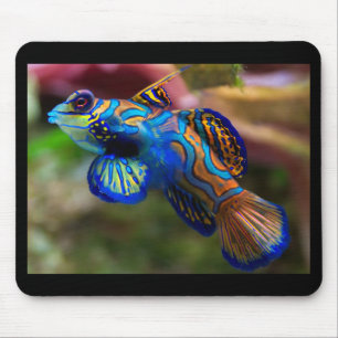 Mandarin Fish Mouse Pad