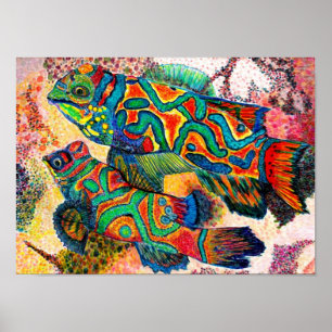 Mandarin Fish - watercolor Poster