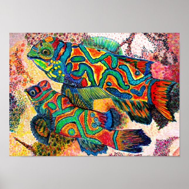 Mandarin Fish - watercolor Poster (Front)