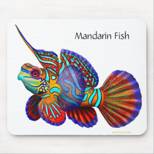 Mandarin Goby Dragonet Fish Mousepad