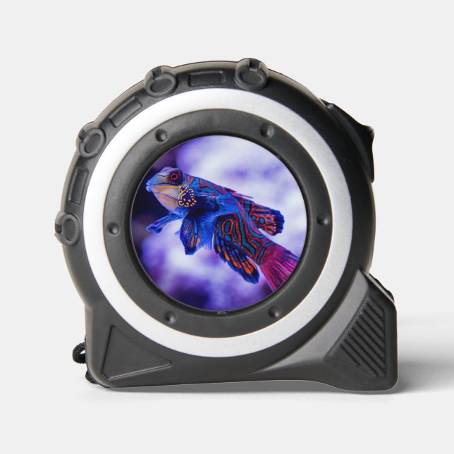 Mandarin Goby Fish 1 (Front)