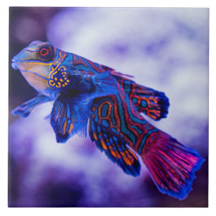 Mandarin Goby Fish Ceramic Tile