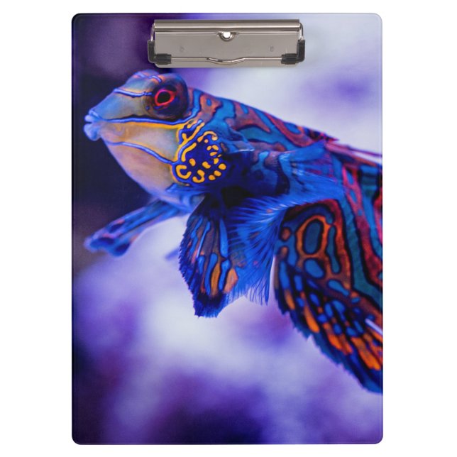 Mandarin Goby Fish Clipboard (Front)