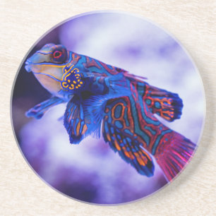 Mandarin Goby Fish Coaster