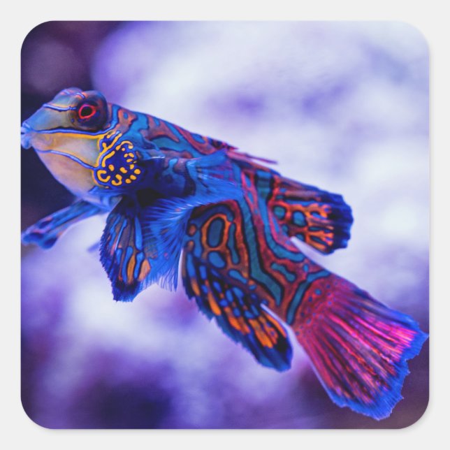 Mandarin Goby Fish Square Sticker (Front)