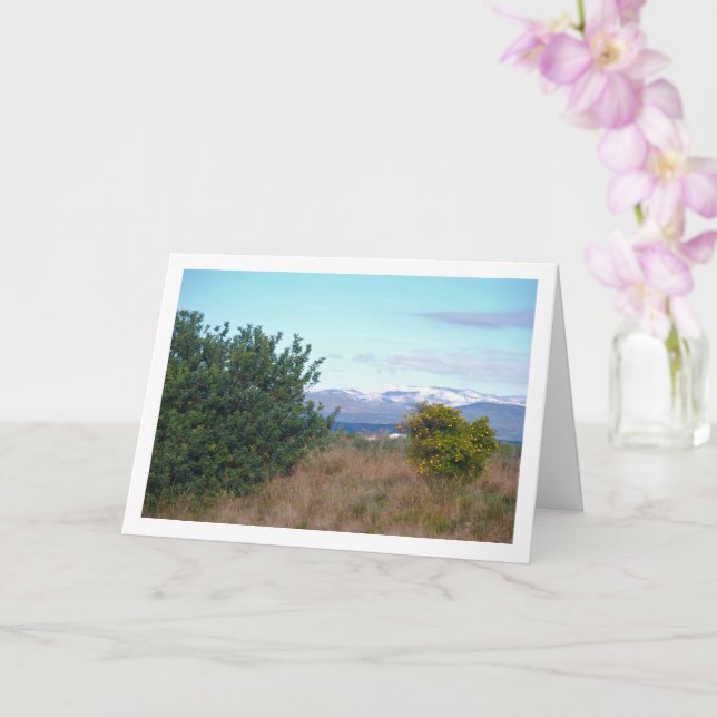 Mandarin Orange Tree and Snowy Mountains Card (Orchid)