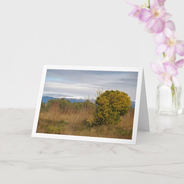 Mandarin Orange Tree and Snowy Mountains Card (Orchid)