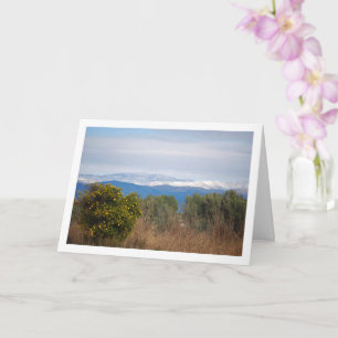 Mandarin Orange Tree and Snowy Mountains Card